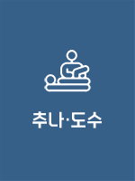 추나/도수